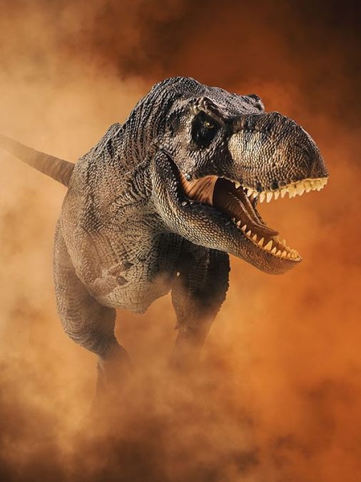 233-million-year-old