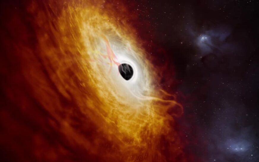 ‘30 times bigger than our Sun’: Scientists discover a new star with unusual chemical elements